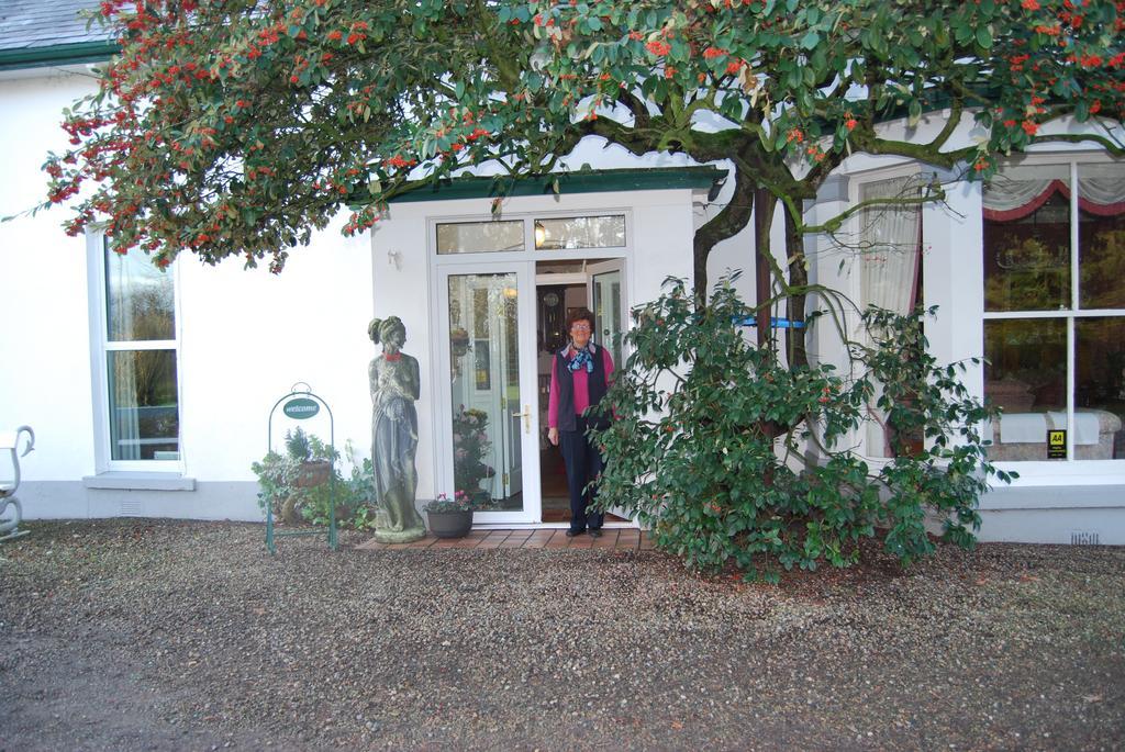 Grange Lodge Country House Dungannon Zewnętrze zdjęcie