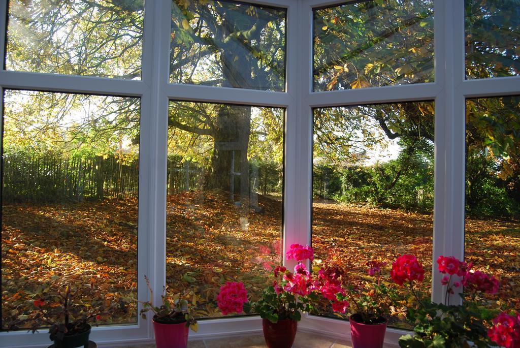 Grange Lodge Country House Dungannon Zewnętrze zdjęcie